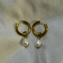 Pearl Halo Hoop Earrings